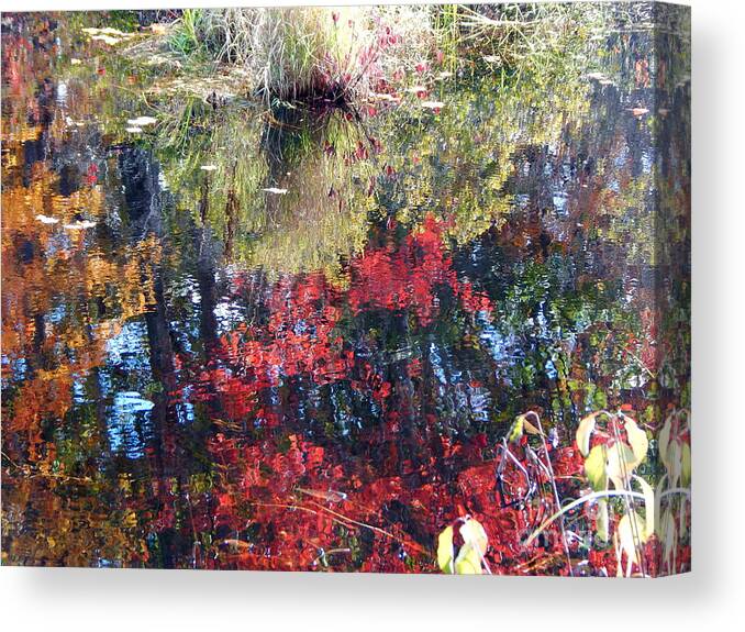 Autumn Reflections And Textures Canvas Print featuring the photograph Most awesome Blast of color ,Autumn in Maine by Priscilla Batzell Expressionist Art Studio Gallery