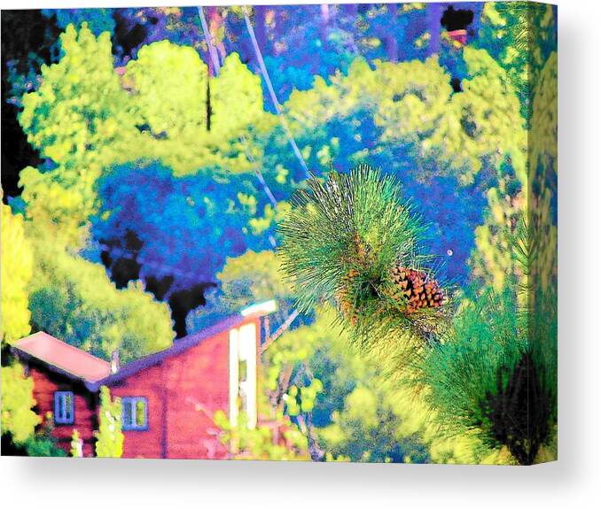  Canvas Print featuring the photograph Idyllwild - Houses on the Hill #12 by Lisa Dunn