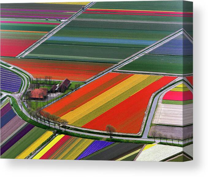 Field Canvas Print featuring the photograph Field #2 by Mariel Mcmeeking