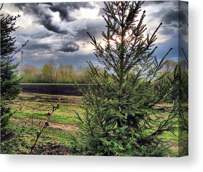 Hdr Canvas Print featuring the photograph HDR #24 by Jackie Russo