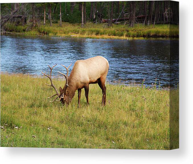 Wyoming Canvas Print featuring the photograph Yellowstone National Park #28 by Mark Smith