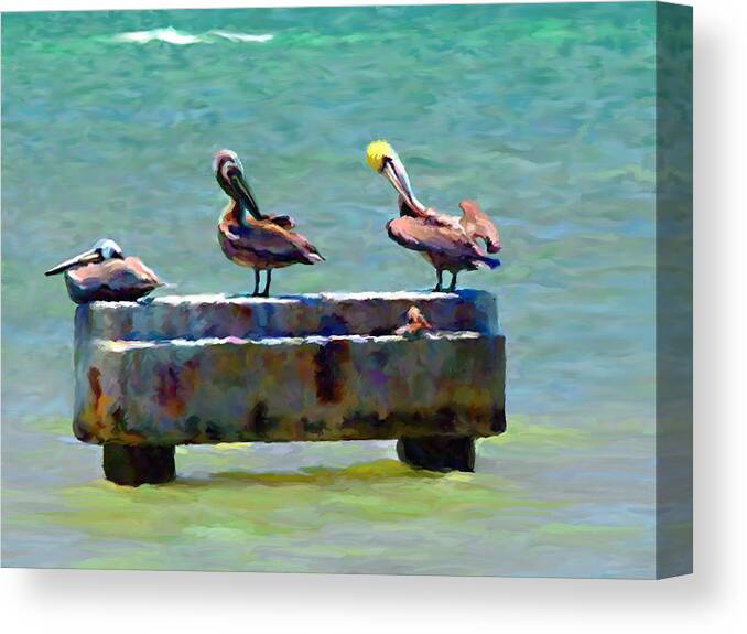 Pelicans Canvas Print featuring the painting 3 Pelicans by David Van Hulst