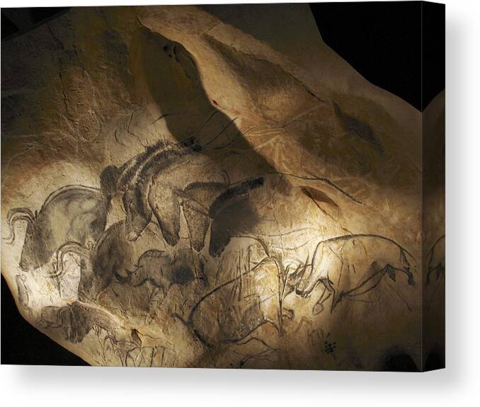 Animal Canvas Print featuring the photograph Stone-age Cave Paintings, Chauvet, France by Javier Truebamsf