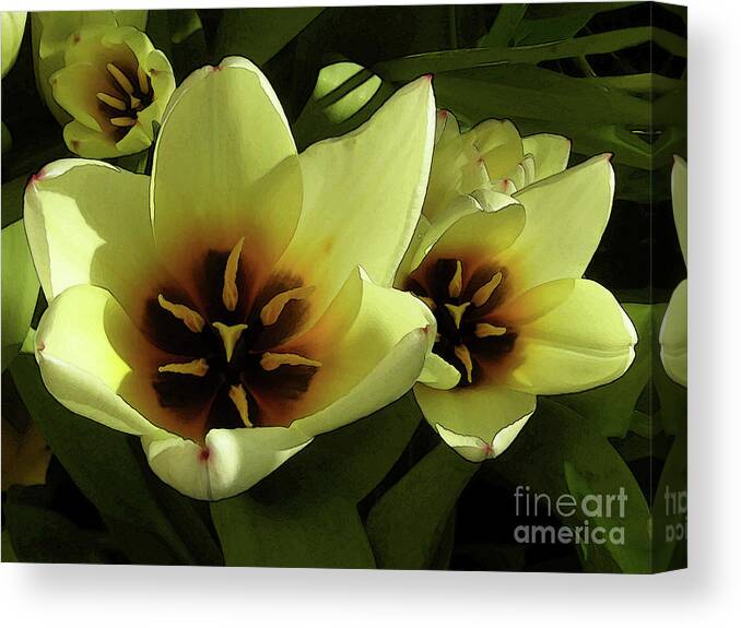 Tulips Canvas Print featuring the photograph Tulip lights #4 by Kim Tran