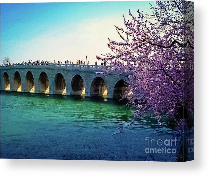 China Canvas Print featuring the photograph Discovering China #7 by Marisol VB