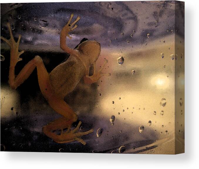 Frog Canvas Print featuring the digital art A Frogs World by Holly Ethan