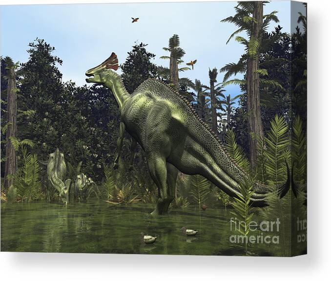 Earth Canvas Print featuring the digital art A Lambeosaurus Rears Onto Its Hind Legs by Walter Myers