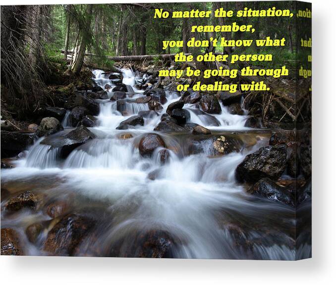 Nature Canvas Print featuring the photograph A Mountain Stream Situation 2 by DeeLon Merritt