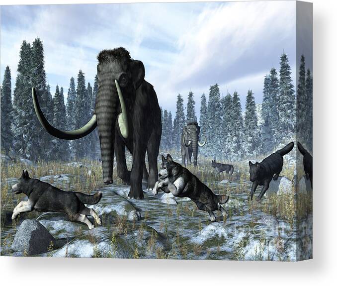 Earth Canvas Print featuring the digital art A Pack Of Dire Wolves Crosses Paths by Walter Myers