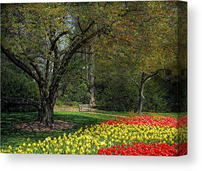 Bench Canvas Print featuring the photograph A Quiet place by John Rivera
