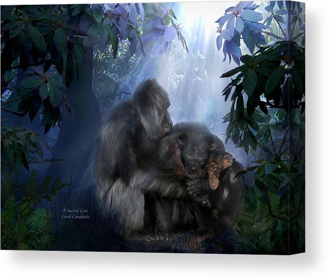 Gorilla Canvas Print featuring the mixed media A Sacred Love by Carol Cavalaris