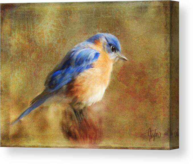 Birds Canvas Print featuring the digital art A Songbird in my Heart by Colleen Taylor
