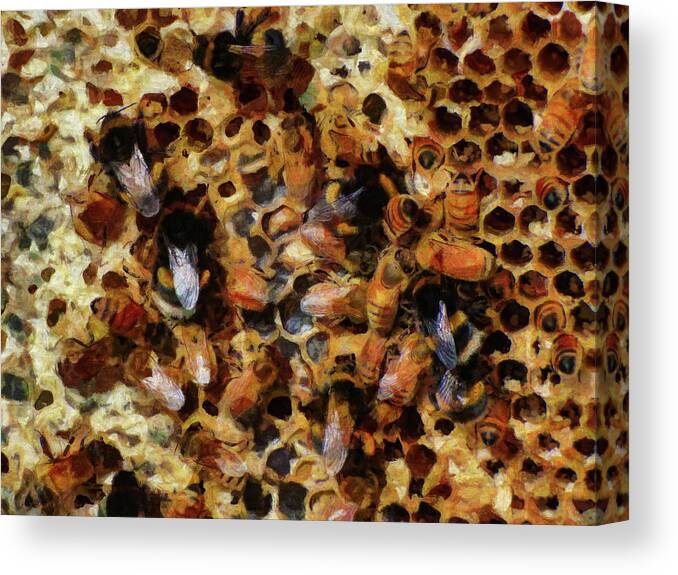 Insect Canvas Print featuring the photograph A Sugar Rush by Steve Taylor