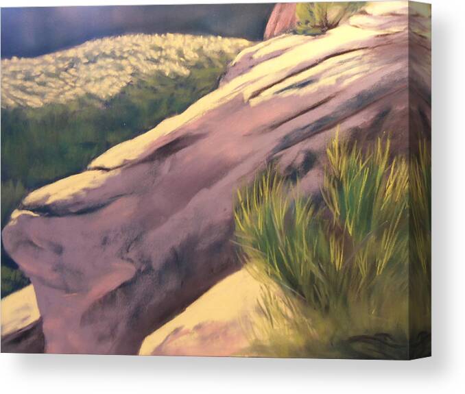 Plein Air Canvas Print featuring the painting Afternoon Light and Mormon Tea by Sandi Snead