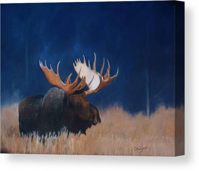 Moose Canvas Print featuring the painting Afternoon light. by Jean Yves Crispo