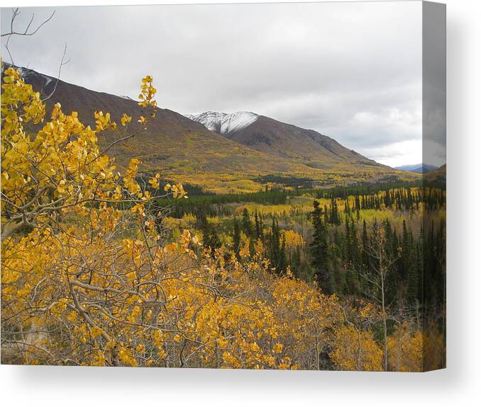 Landscape Of Alaska Canvas Print featuring the photograph Alaska Frontier by Kimber Butler
