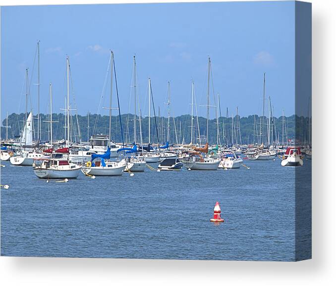 Sailboat Canvas Print featuring the photograph All In Line by Newwwman
