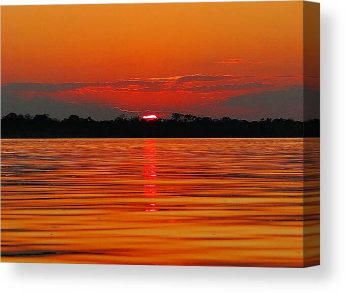 Amazon River Canvas Print featuring the photograph Amazon Gold by Blair Wainman