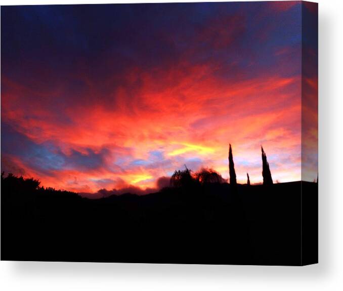 Sunset Canvas Print featuring the photograph Amelia Sunsets 70 by Ron Kandt