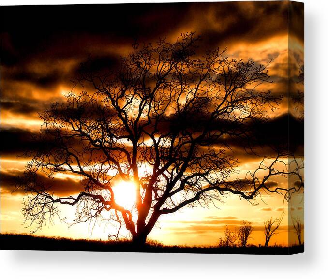 Sunset Canvas Print featuring the photograph Arms Wide Open by Karen Scovill
