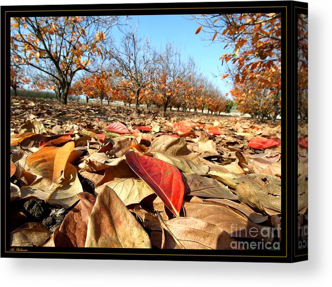 Autumn Canvas Print featuring the photograph Autumn colors 04 by Arik Baltinester