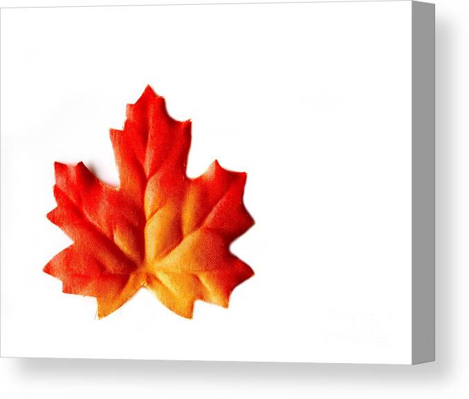 Nature Canvas Print featuring the photograph Autumn Leaf by Henrik Lehnerer