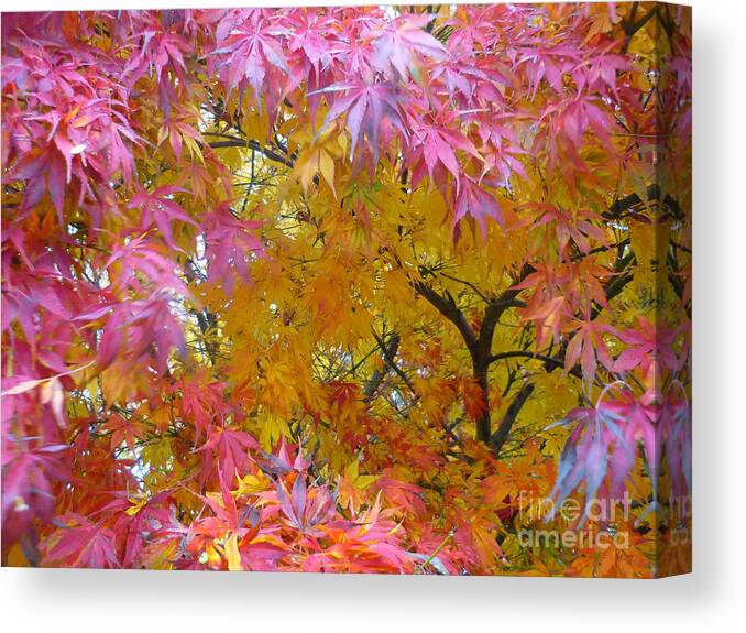 Autumn Canvas Print featuring the photograph Autumn Pink by Jeff Breiman