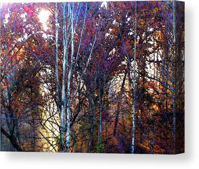 Autumn Canvas Print featuring the painting Autumn Sunlight by Jane Schnetlage