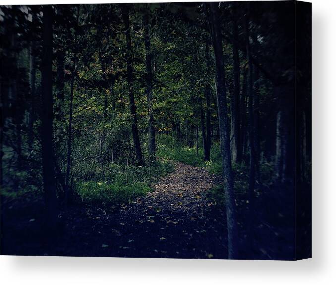 Michigan Canvas Print featuring the photograph Autumn Trail by Scott Hovind