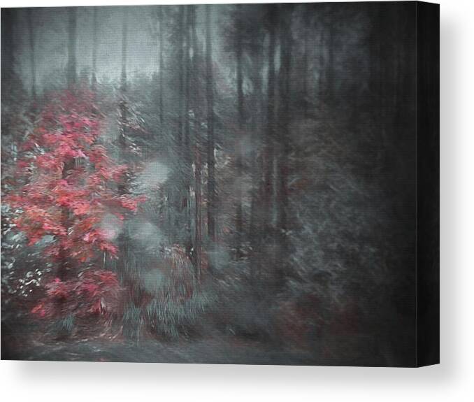 Autumn Canvas Print featuring the photograph Autumn's Last Stand by Phyllis Meinke