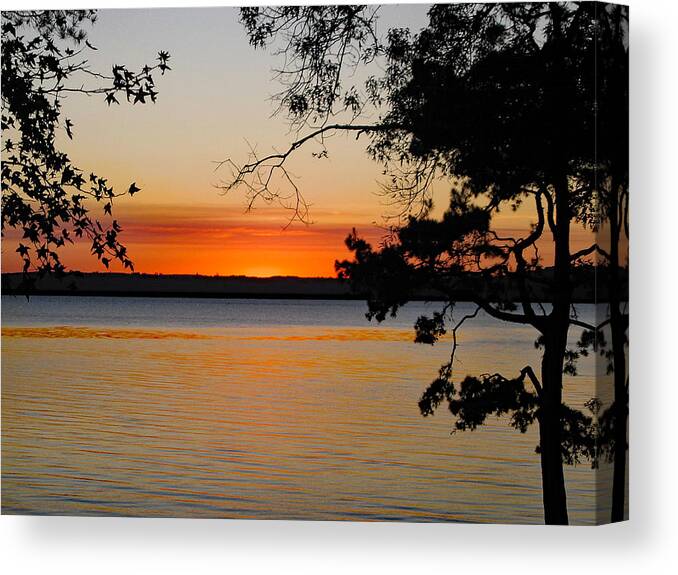 Nature Canvas Print featuring the photograph Awesome by DB Hayes