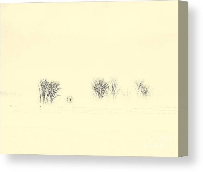 Light Canvas Print featuring the photograph Barely by Elfriede Fulda