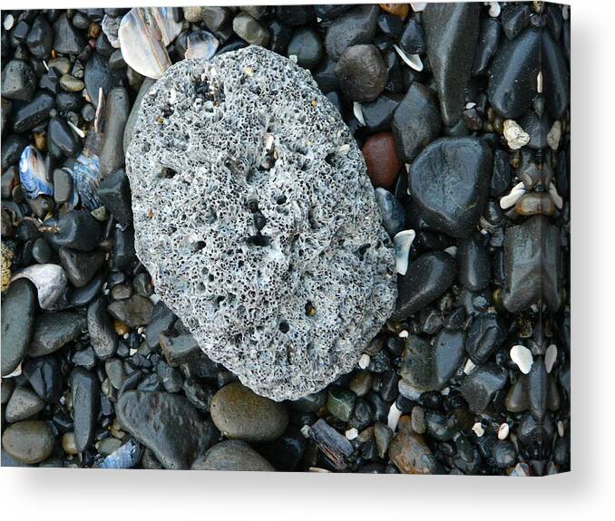 Barnacle Canvas Print featuring the photograph Barnacle Rock by Gallery Of Hope 