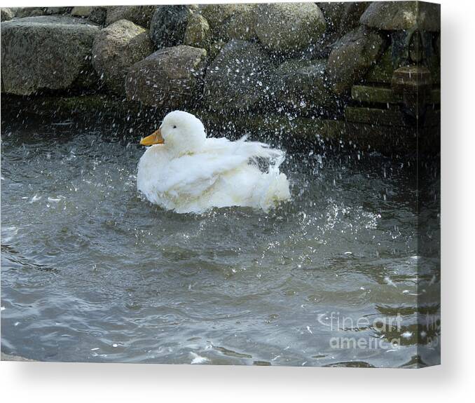 Duck Canvas Print featuring the photograph Bath Time by Ann Horn