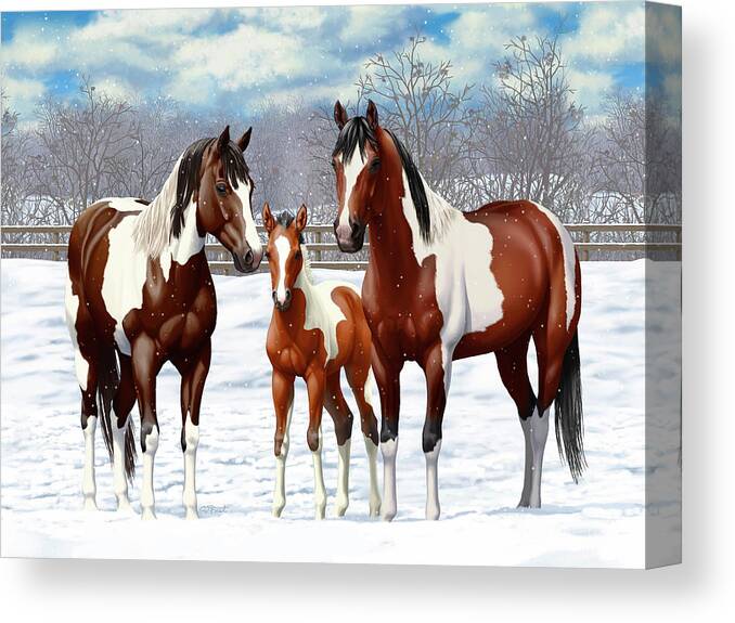 Paint Horse Canvas Print featuring the painting Bay Paint Horses In Winter by Crista Forest