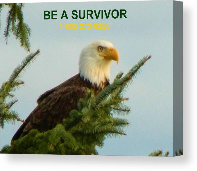 Eagles Canvas Print featuring the photograph Be A Survivor with phone number by Gallery Of Hope 