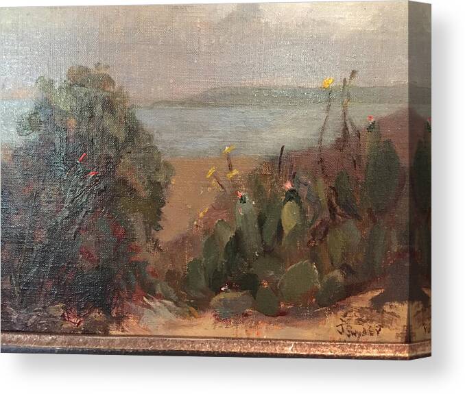 Landscape Cactus Beach Overcast Sky Canvas Print featuring the painting Beach Cactus by Joyce Snyder