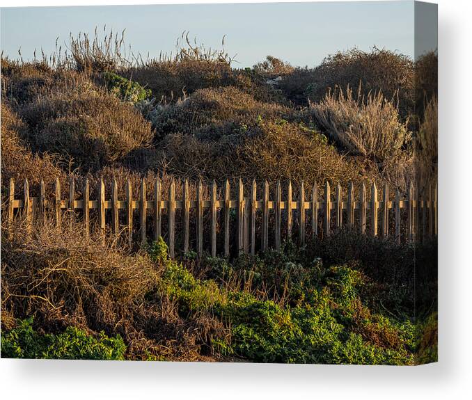 Beach Fence Canvas Print featuring the photograph Beach Fence by Derek Dean