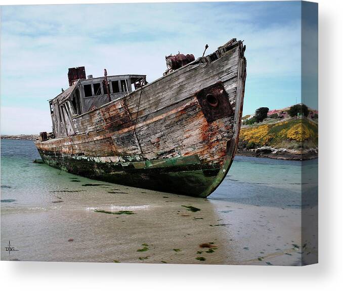 Ship Canvas Print featuring the photograph Beached by David Bader