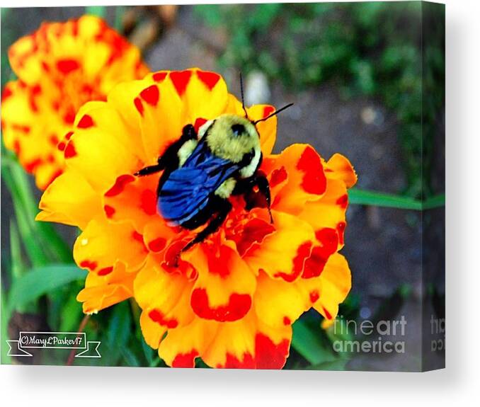 Photograph Canvas Print featuring the photograph Bee Happy  by MaryLee Parker