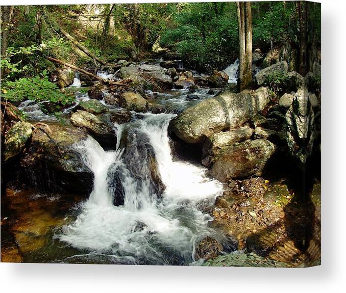 Anna Ruby Falls Canvas Print featuring the photograph Below Anna Ruby Falls by Jerry Battle