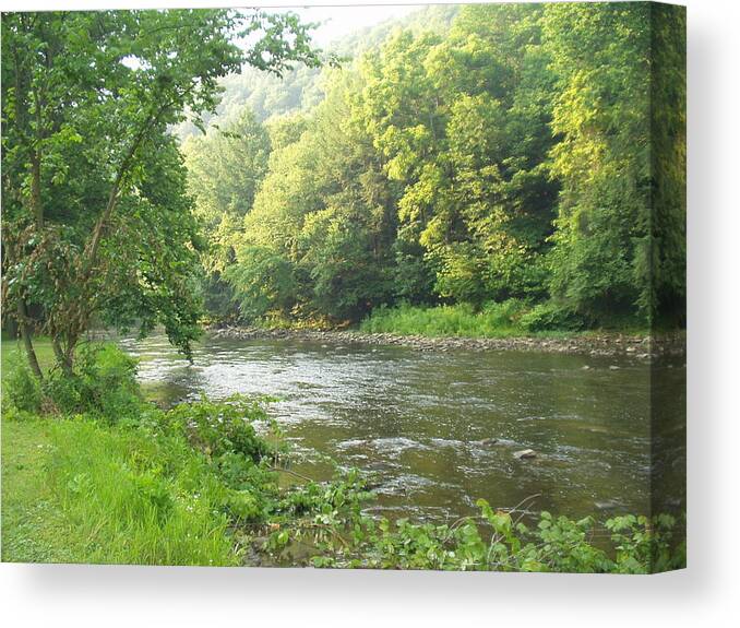 Creek Canvas Print featuring the photograph Beside the still waters by Karen McKinney