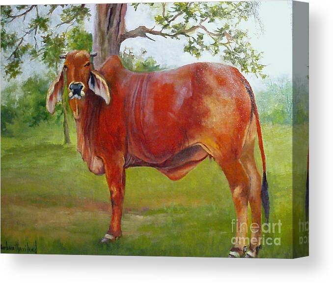 Cow Canvas Print featuring the painting Bessie The Brahama by Barbara Haviland