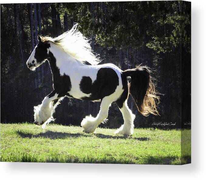 Gypsy Canvas Print featuring the photograph Big Bold and Beautiful by Terry Kirkland Cook