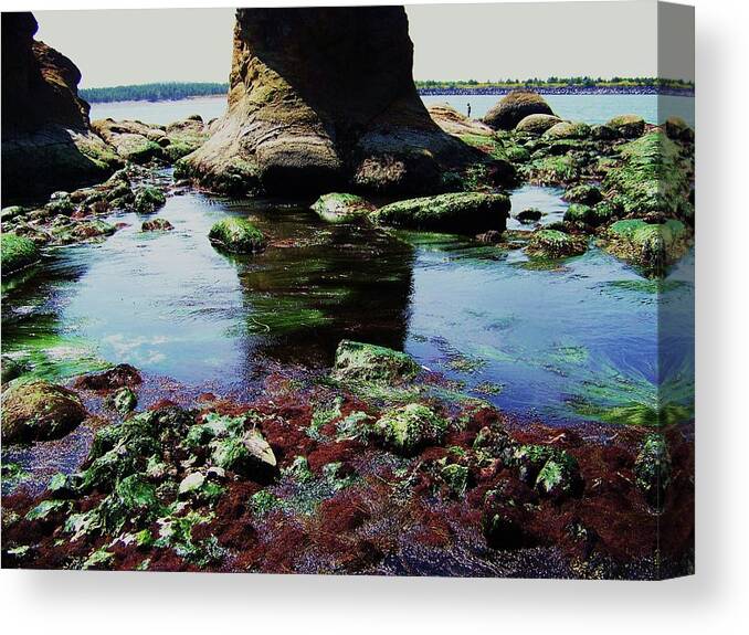 Ocean Canvas Print featuring the photograph Big Foot by Julie Rauscher