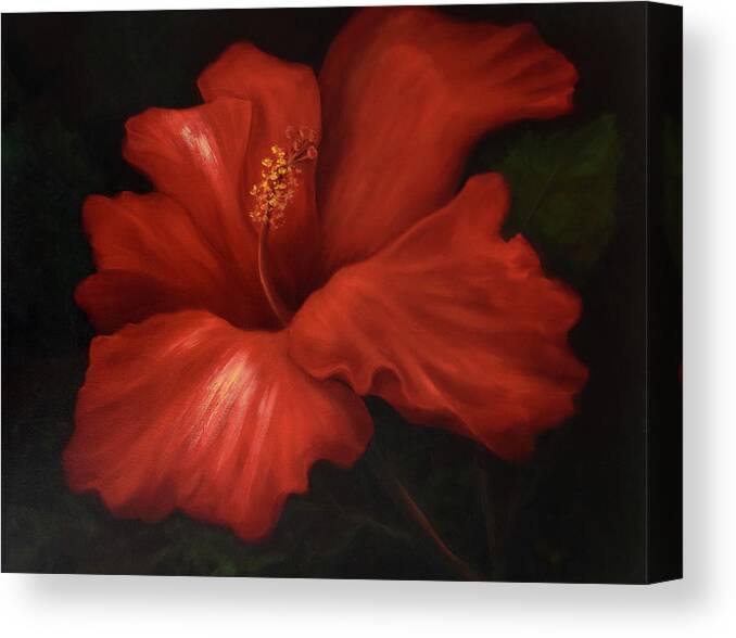 Hibiscus Canvas Print featuring the painting Big Red by Lynne Pittard