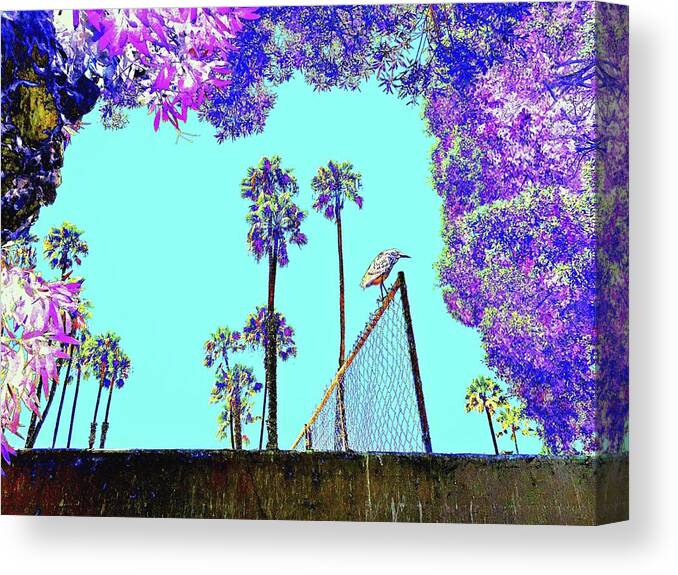 Landscape Canvas Print featuring the photograph Bird In Paradise by FlyingFish Foto