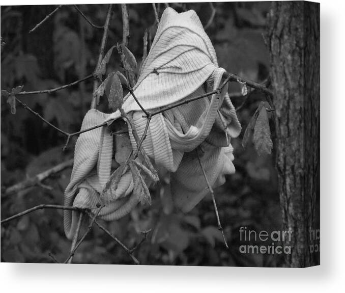  Canvas Print featuring the photograph Black and White Wife Beater inBranch by David Frederick