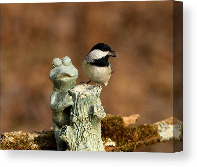 Nature Canvas Print featuring the photograph Black-Capped Chickadee and Frog by Sheila Brown