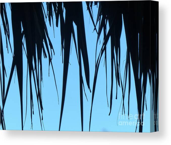 Two Colors Canvas Print featuring the photograph Black Palms On Blue Sky by Rosanne Licciardi